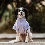 Corderito Cuello Alto Lila Pet Lounge - Imagen 3