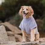 Corderito Cuello Alto Lila Pet Lounge - Imagen 4