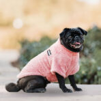 Corderito Cuello Alto Rosado Pet Lounge - Imagen 5