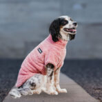 Corderito Cuello Alto Rosado Pet Lounge - Imagen 3