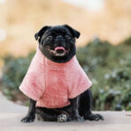 Corderito Cuello Alto Rosado Pet Lounge - Imagen 6