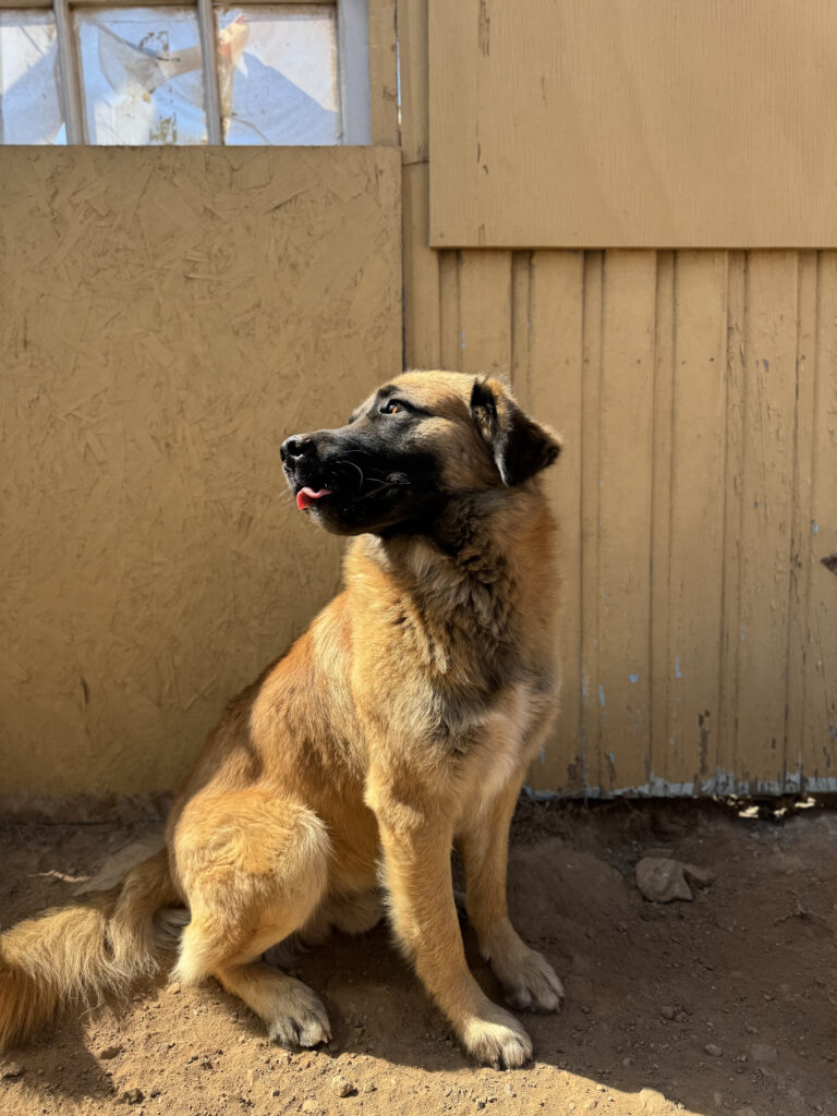 HolosGO! Més de Abril 6 IMG_0149