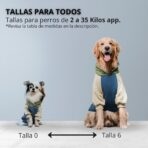 Hoodie Midnight Storm Pet Lounge - Imagen 9