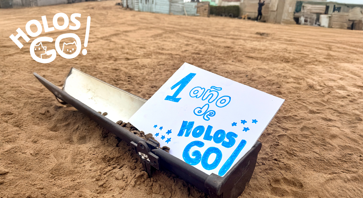 Un año de HolosGO! 1 banner HolosGO blog resumen de mes de abril