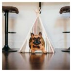 Carpa Teepee Horizont Seacoast Play - Imagen 3