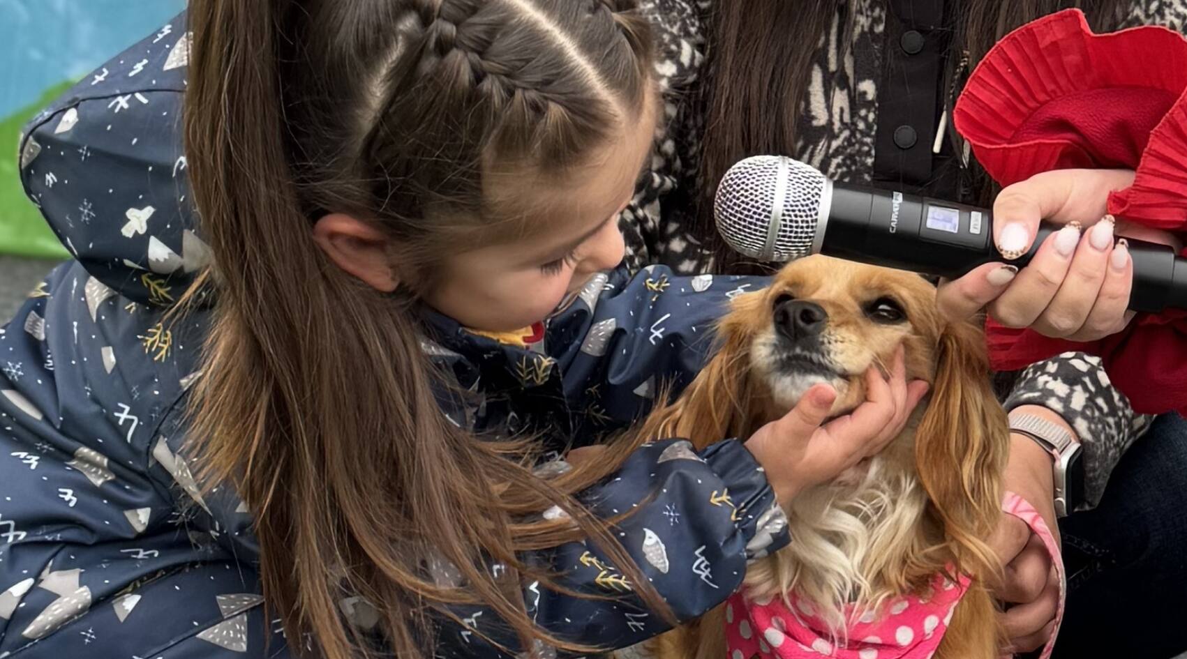 BLOG Bannedfr 90 x 50 cm 2