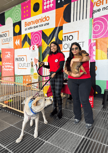 Proyecto Adopción, Patio Outlet 5 banners de los blogs-07