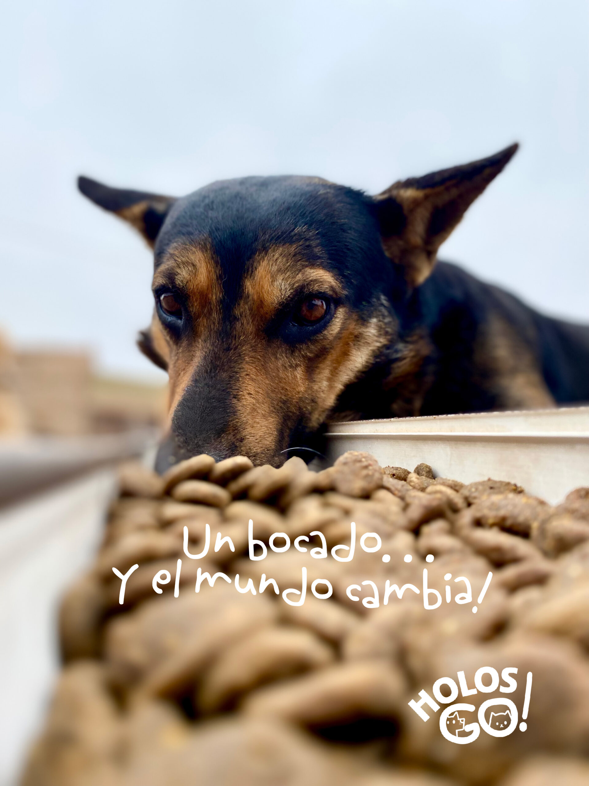 Marcas que nos han apoyado! 8 blog2 scaled