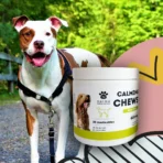 Calming Chews Masticables Calmantes CBD Para Perros 600mg - Imagen 3