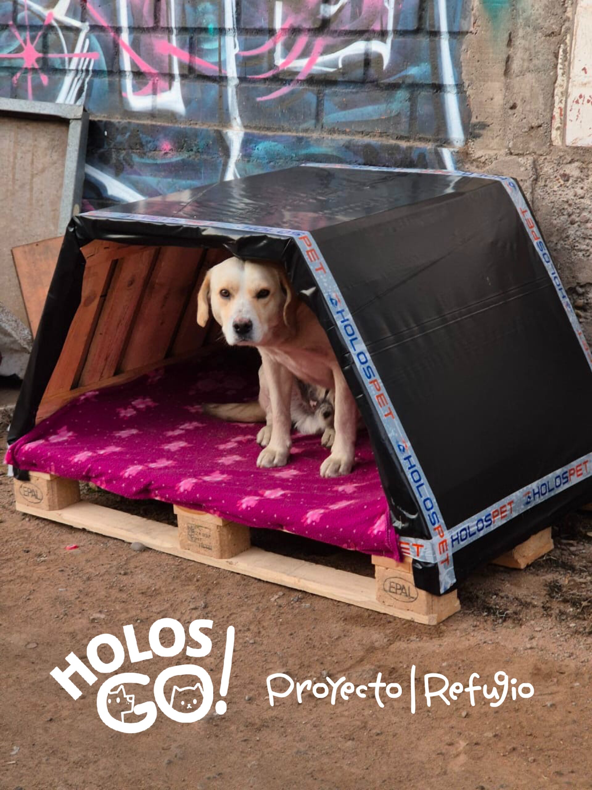Proyecto Refugio, Reciclar 5 blog scaled