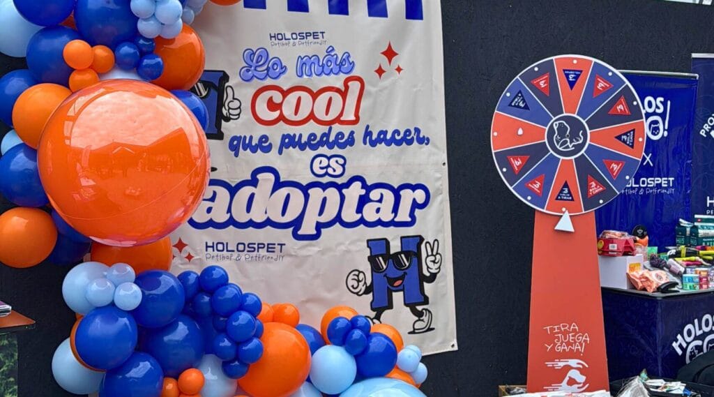Nuestro Aniversario 5, Patio Outlet