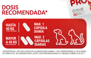 Captura de pantalla 2025 10 06 132842