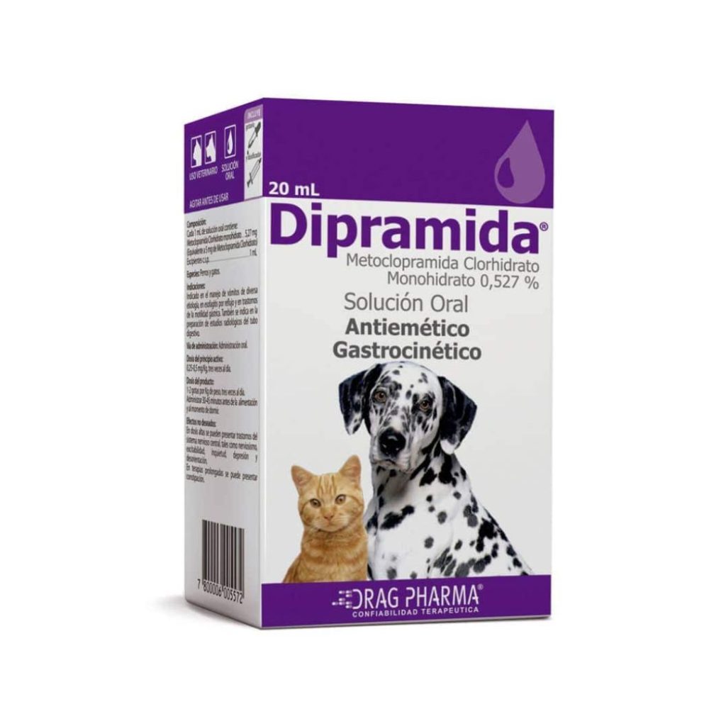 DIPRAMIDA