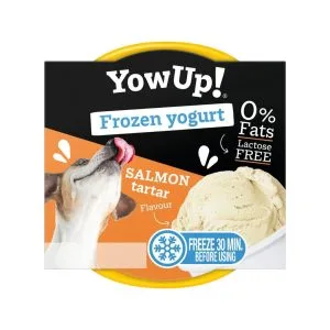 YOGURT HELADO SALMON TARTAR 110 GR YOW UP