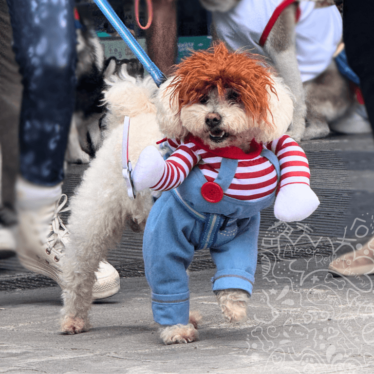 Octubre 3 Holosween patio outlet 27