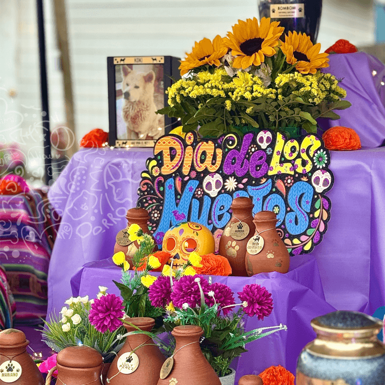 Octubre 3 dia de los muertos pets eden 27 4