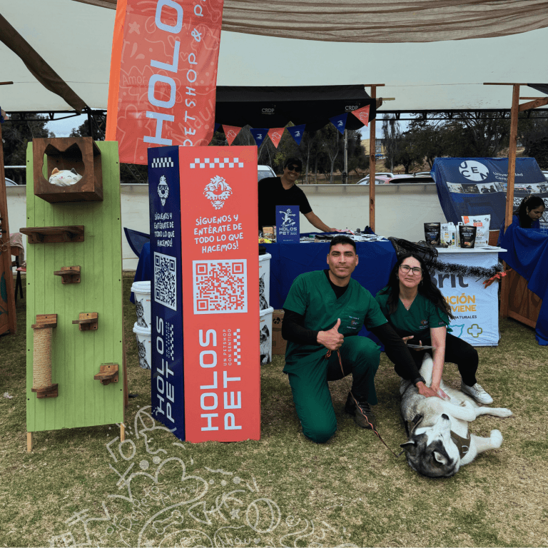 diciembre 1 feria peludos 6 2