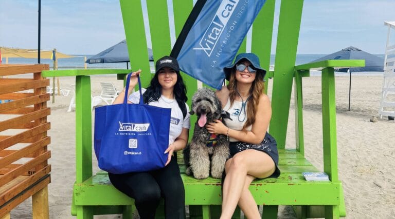 HoloSUMMER con VITALCAN | Playa La Serena