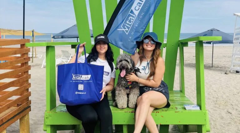 HoloSUMMER con VITALCAN | Playa La Serena