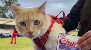 BLOG Banner 90 x 50 cm 1