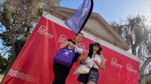 BLOGdf Banner 90 x 50 cm