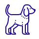 Alimento para Perros