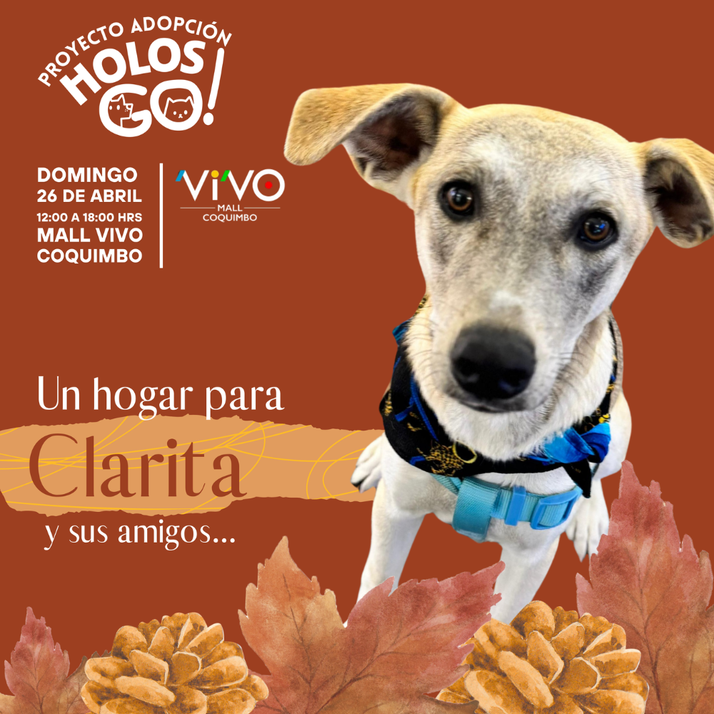 Octubre 1 3