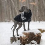 Sweater Fuzzy Negro GFPET - Imagen 3