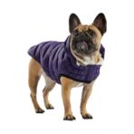 Parka Cloud Purpura GFPET - Imagen 3