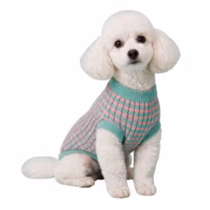 SWEATER TEJIDO VERDE CON ROSA
