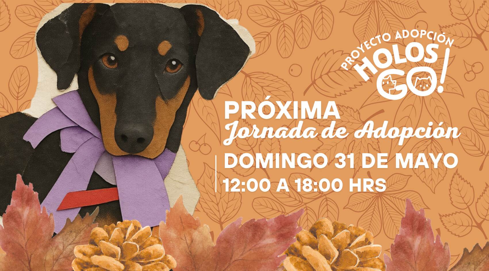 BLOG Banner 90 x 50 cm jornada adopcion1