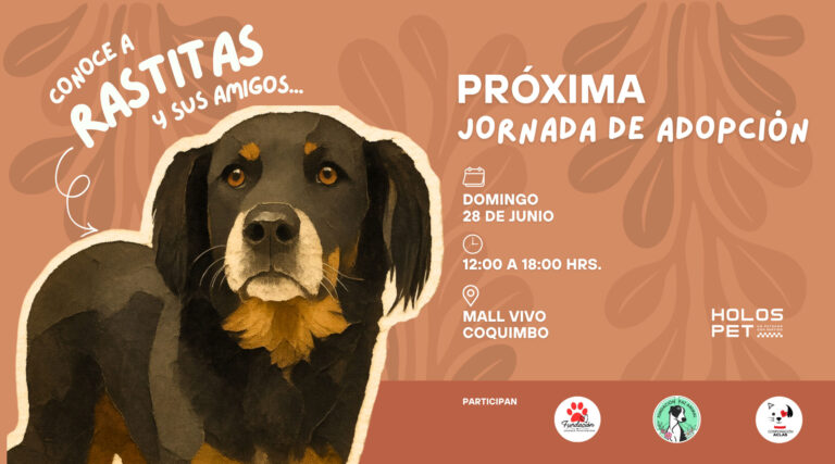 BLOG Banner 90 x 50 cm jornada adopcion dom junioasd
