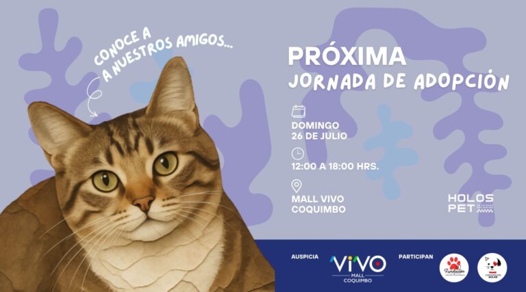 Home 70 BLOG Banner 90 x 50 cm JORNADA