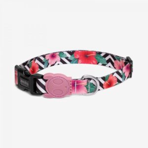 Mahalo Collar Cat Zee.Dog