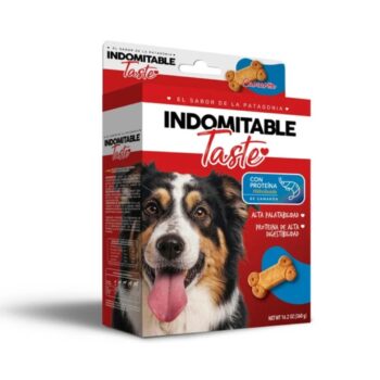 GALLETAS INDOMITABLE TASTE CAMARON 360 GR