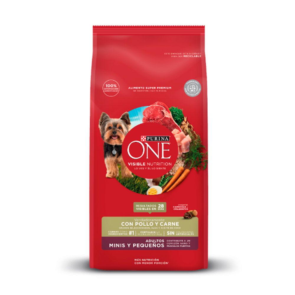 Purina-One-Adulto-Minis-Y-Pequenos-Carne-2Kg-7613287225191 Purina One Adulto Minis Y Pequeños Carne 2Kg - Imagen 1