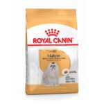 Royal Canin Perro Maltes Adulto 1Kg