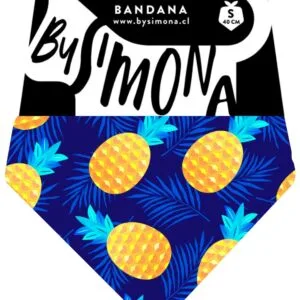 Bandana Piñas By Simona