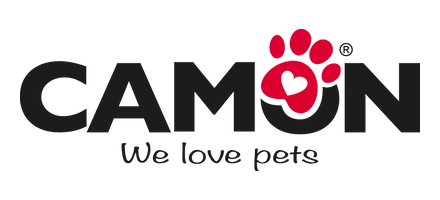 logo camon