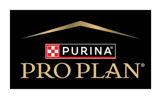 logo pro plan