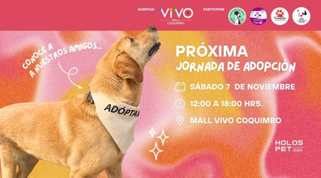 Jornada de Adopción | Sábado 7 de Noviembre | Mall Vivo Coquimbo