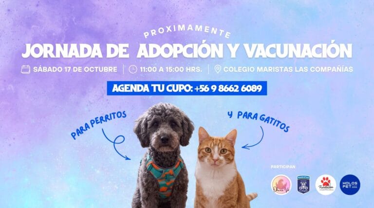 Jornada de Adopción y vacunación | Sábado 17 de Octubre | Colegio Maristas Las compañías