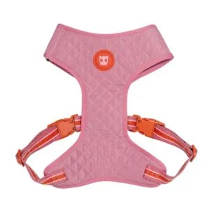 Arnés Courtney Air Mesh X-small Zee.dog