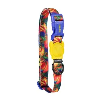Collar Samba Small Zee.dog