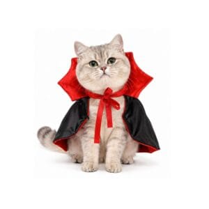 Disfraz De Vampiro Para Gatos