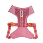 Arnés Courtney Air Mesh X-small Zee.dog - Imagen 3